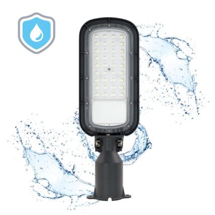 LED tänavavalgusti BRELUXO LED/50W/230V 4000K IP65
