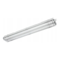 LED tehniline T8 ribavalgusti 2xG13/10W/230V 6000K 60 cm IP65 valge