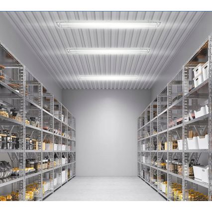 LED tehniline toruvalgusti T8 2xG13/20W/230V 6500K 120 cm IP65 valge