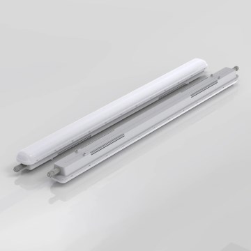 LED tehniline valgusti LED/50W/230V 6000K 150 cm IP65