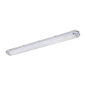 LED Töö luminofoorvalgusti T8 2xG13/18W/230V IP65