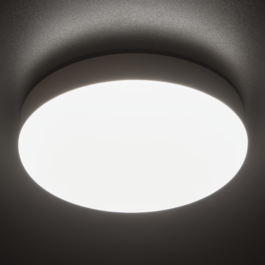 LED Tööstuslik laevalgusti IPER LED/19W/230V IK10 IP65 ümmargune valge