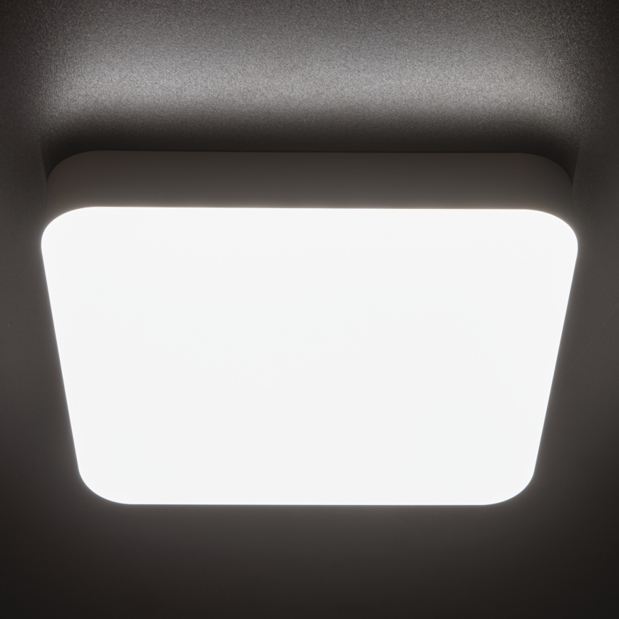 LED Tööstuslik laevalgusti IPER LED/26W/230V IK10 IP65 kandiline valge