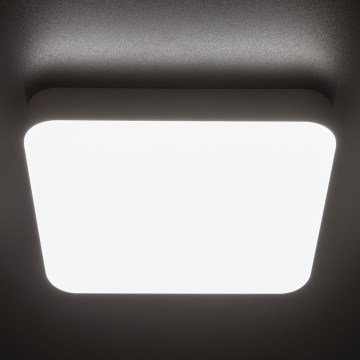 LED Tööstuslik laevalgusti liikumisanduriga IPER LED/19W/230V IK10 IP65 kandiline valge