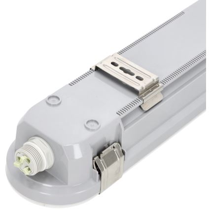 LED Tööstuslik luminofoorvalgusti NEXFORCE LED/36W/230V 4000K IP66