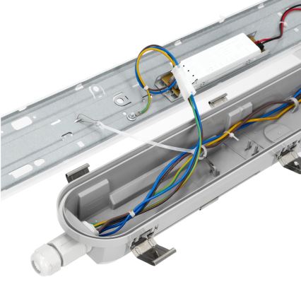 LED Tööstuslik luminofoorvalgusti NEXFORCE LED/36W/230V 4000K IP66
