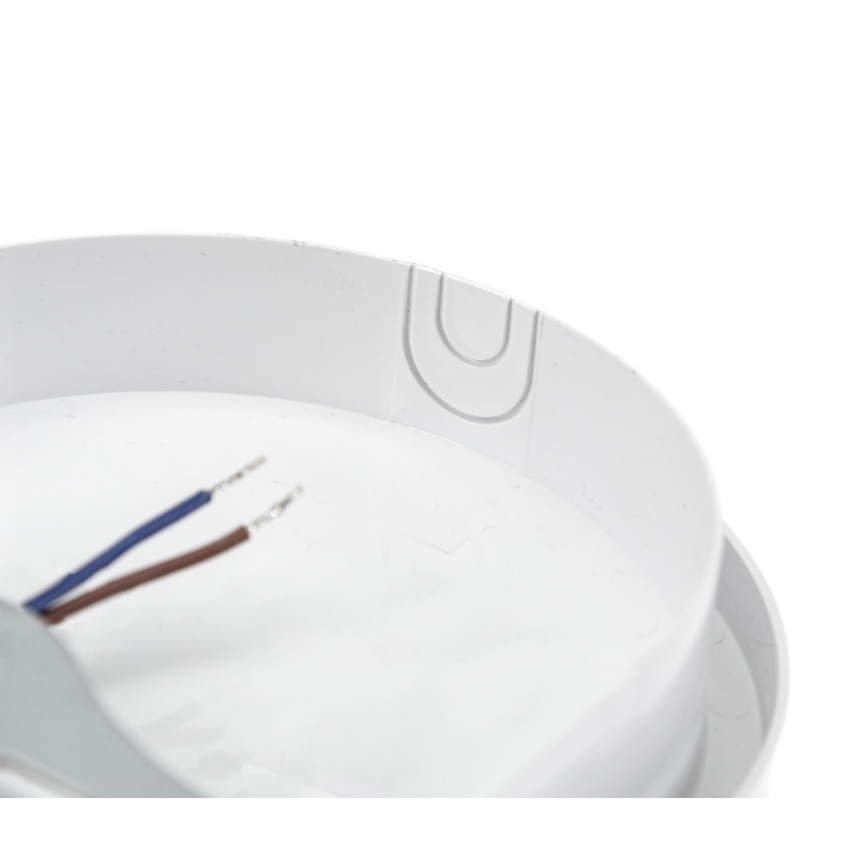 LED Tööstuslik valgusti PIR anduriga LED/20W/230V IP54