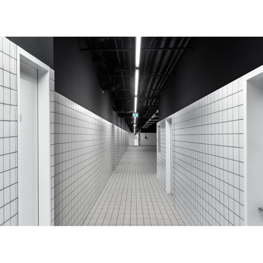 LED Töövalgusti LIMEA MINI LED/36W/230V IP65 4000K 1200 mm
