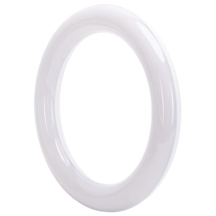 LED-toru G10q/14W/230V 4000K - Aigostar