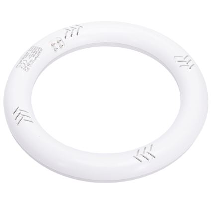 LED-toru G10q/14W/230V 6500K - Aigostar
