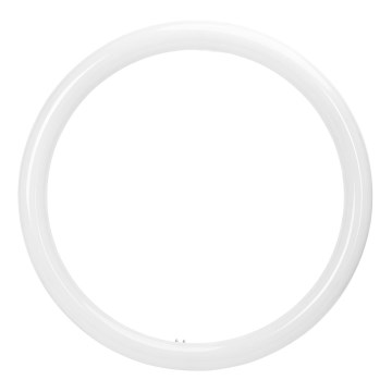 LED-toru G10q/20W/230V 3000K - Aigostar