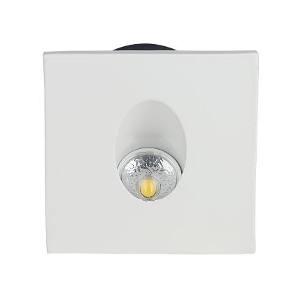 LED Trepikoja valgusti LED/3W/230V 3000K valge