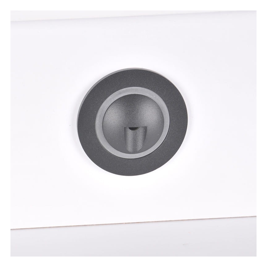 LED-trepivalgusti õue Q2 LED/3W/230V IP44