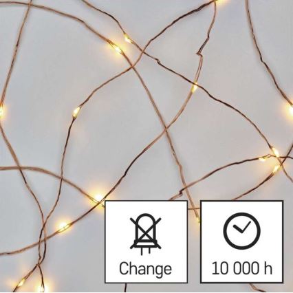 LED-valguskett 20xLED/2,4m soe valge