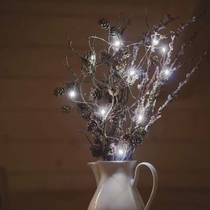 LED-valguskett 20xLED/2xAA 2,4 m külmvalge