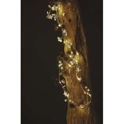LED-valguskett 20xLED/2xAA 2 m