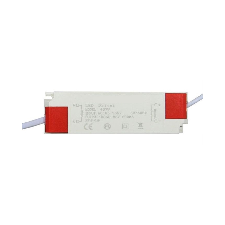 LED Valguspaneel 2in1 LED/40W/230V 6000K 60x60 cm