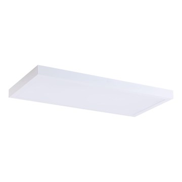 LED Valguspaneel LED/36W/230V 4000K 30x60 cm valge