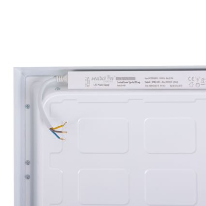 LED Valguspaneel LED/36W/230V 4000K 30x60 cm valge