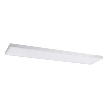 LED Valguspaneel LED/60W/230V 4000K 30x120 cm valge