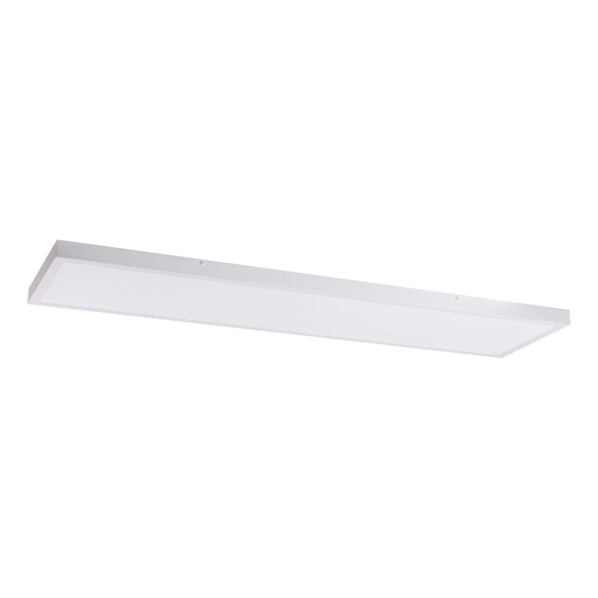 LED Valguspaneel LED/60W/230V 4000K 30x120 cm valge