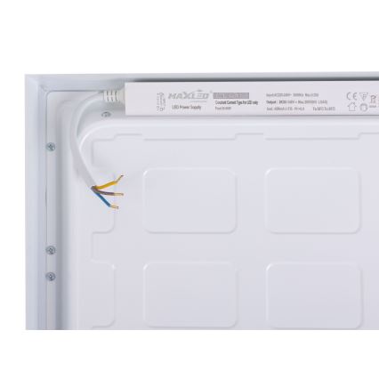 LED Valguspaneel LED/60W/230V 4000K 30x120 cm valge