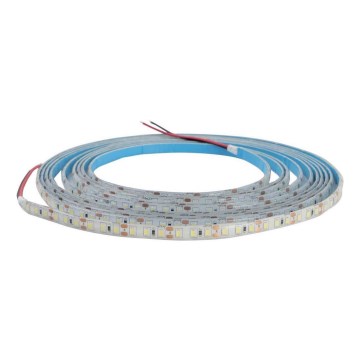 LED Valgusriba vannituppa DAISY 5m soe valge IP65