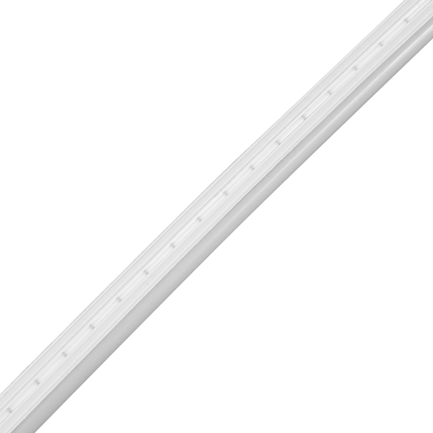 LED Valgusriba vannituppa NEON EKO-FLEX LED/250W/12V 4000K IP65 25m valge