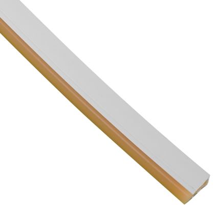 LED Valgusriba vannituppa NEON EKO-FLEX LED/250W/12V IP65 25m oranž