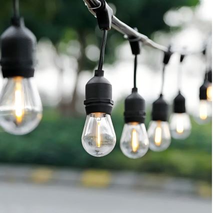 LED Väli dekoratiivne kett 20xE27/1W/230V 10 m IP65 must