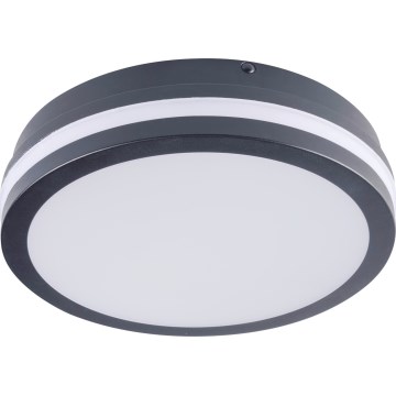LED Väli laevalgusti BENO LED/12/18W/230V 3000/3500/4000K IP65 antratsiit ümmargune