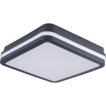 LED Väli laevalgusti BENO LED/24/30W/230V 3000/3500/4000K IP65 antratsiit kandiline
