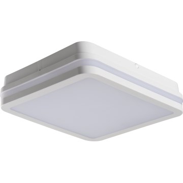 LED Väli laevalgusti BENO LED/24/30W/230V 3000/3500/4000K IP65 valge kandiline