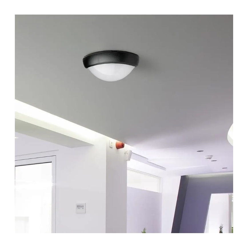 LED Väli laevalgusti LED/12W/230V IP54