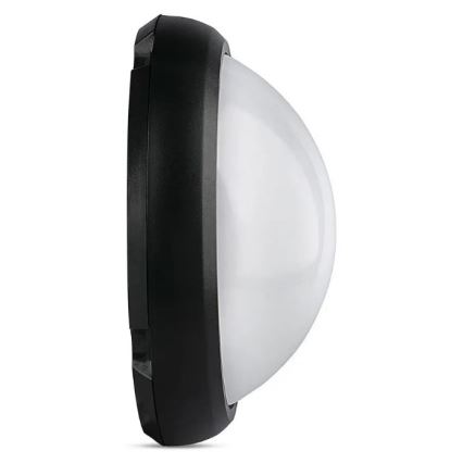 LED Väli laevalgusti LED/12W/230V IP54