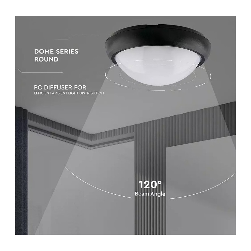 LED Väli laevalgusti LED/12W/230V IP54