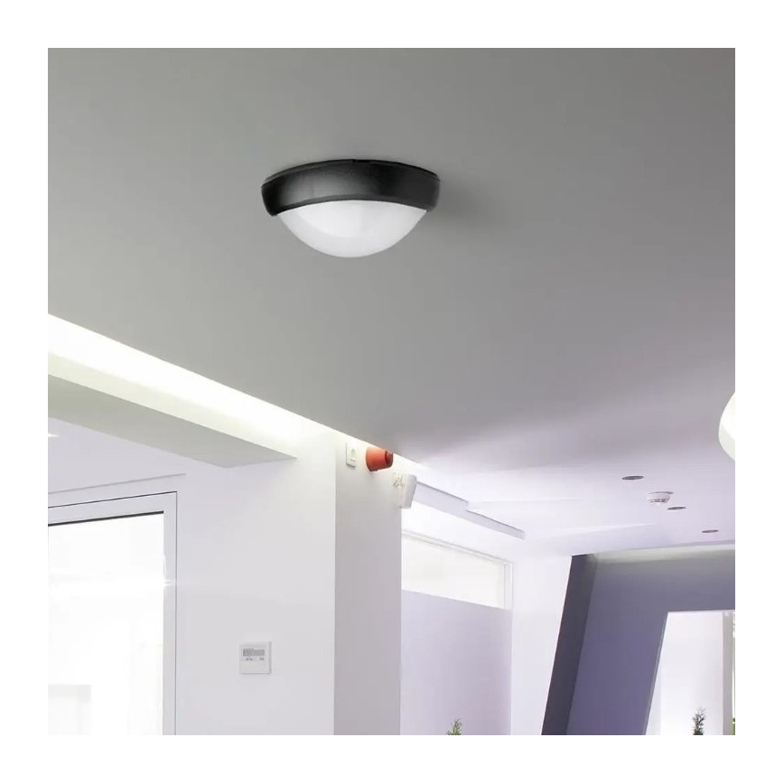 LED Väli laevalgusti LED/12W/230V IP54