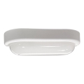 LEd Väli laevalgusti LED/15W/230V 4200K 20x9,8 cm IP64 valge
