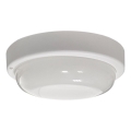 LEd Väli laevalgusti LED/15W/230V 4200K d. 15,5 cm IP64 valge