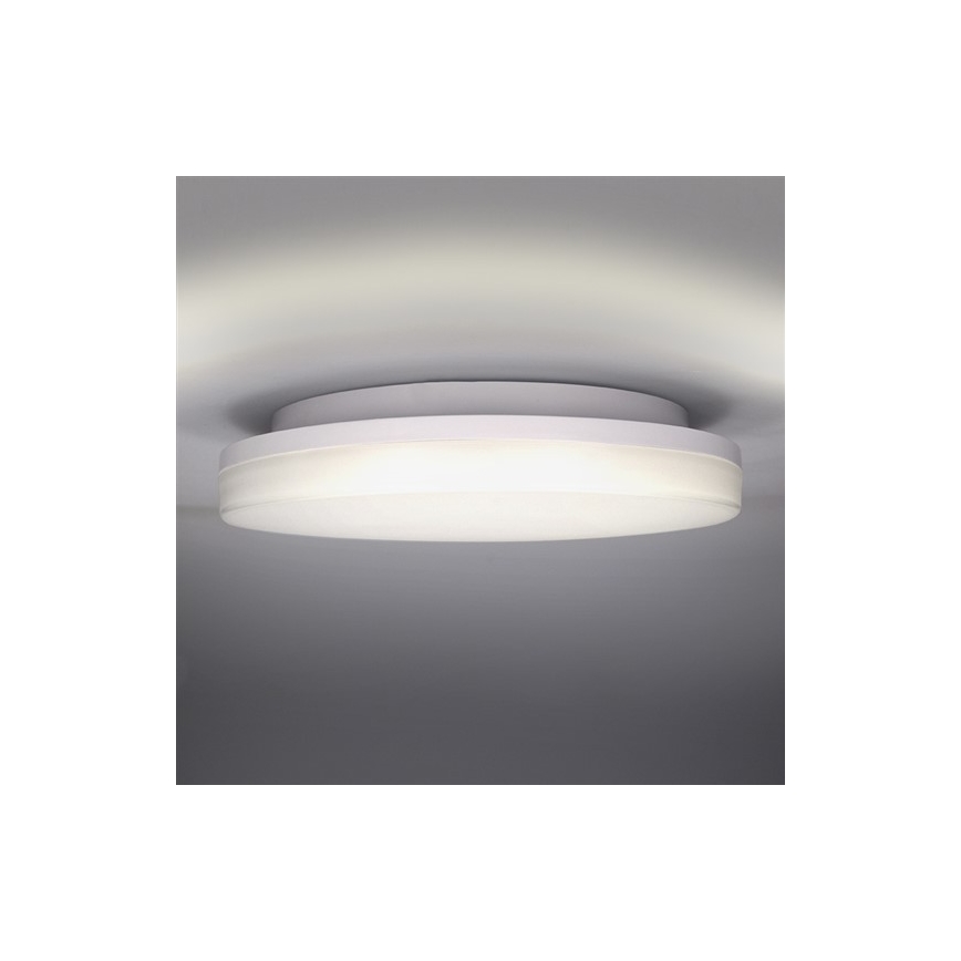 LED Väli laevalgusti LED/15W/230V IP54