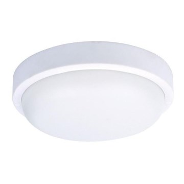 LED Väli laevalgusti LED/20W/230V IP54