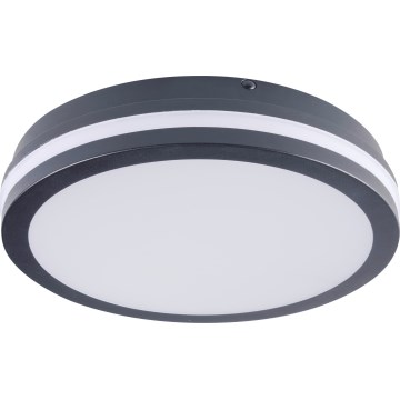 LEd Väli laevalgusti liikumisanduriga BENO LED/24/30W/230V 3000/3500/4000K IP65 antratsiit ümmargune