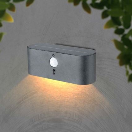 LED Väli päikesepaneeliga seinavalgusti anduriga LED/2,5W/3,7V 3000K IP54 2000 mAh