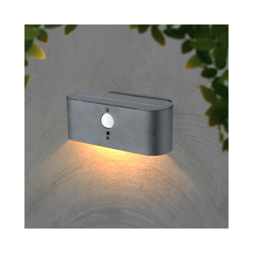 LED Väli päikesepaneeliga seinavalgusti anduriga LED/2,5W/3,7V 3000K IP54 2000 mAh