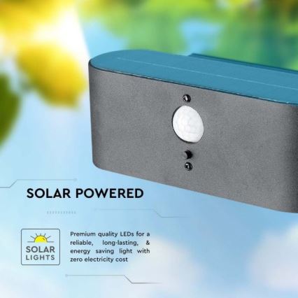 LED Väli päikesepaneeliga seinavalgusti anduriga LED/2,5W/3,7V 3000K IP54 2000 mAh