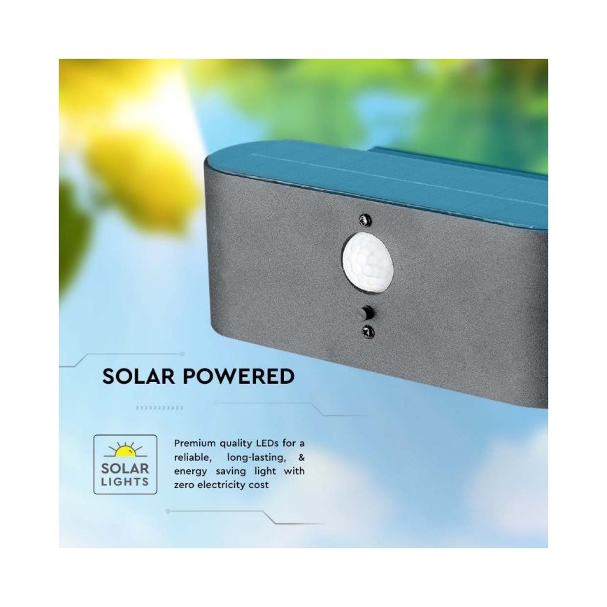 LED Väli päikesepaneeliga seinavalgusti anduriga LED/2,5W/3,7V 3000K IP54 2000 mAh