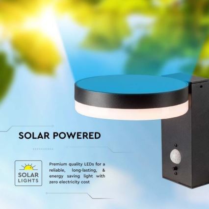 LED Väli päikesepaneeliga seinavalgusti anduriga LED/5,5W/3,7V 3000K IP54 2000 mAh