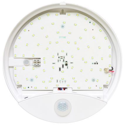 LED Väli seinavalgusti anduriga LORA LED/15W/230V IP44