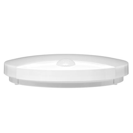 LED Väli seinavalgusti anduriga LORA LED/15W/230V IP44