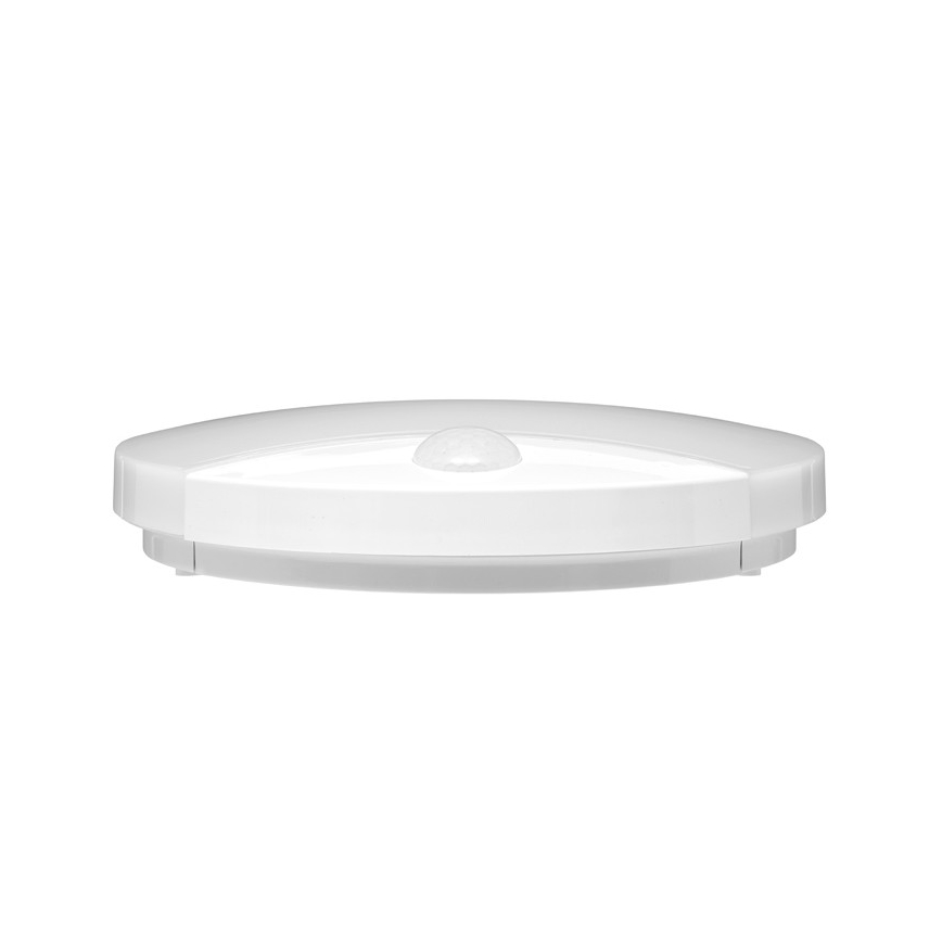 LED Väli seinavalgusti anduriga LORA LED/15W/230V IP44